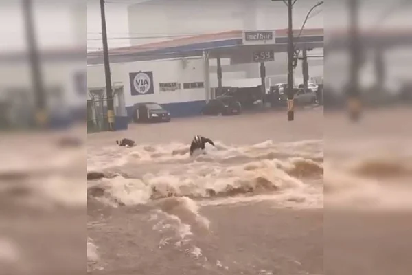 Metrô retido e inundações: vídeos mostram estragos da chuva desta 2ª no DF