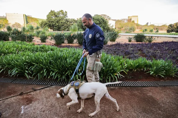 Agentes da Polícia Judicial fazem varredura com cães na área de acesso à igrejinha. O Supremo Tribunal Federal (STF) tem esquema de segurança reforçado para o julgamento do ex-presidente Jair Bolsonaro e outros sete acusados na Primeira Turma.