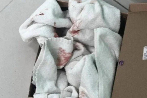 Bebê é encontrado em caixa de sapato em Santa Catarina