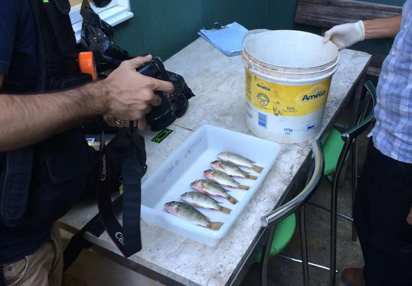 Polícia Militar Ambiental deflagra operação para combater pesca predatória no Lago Paranoá. Veja vídeo