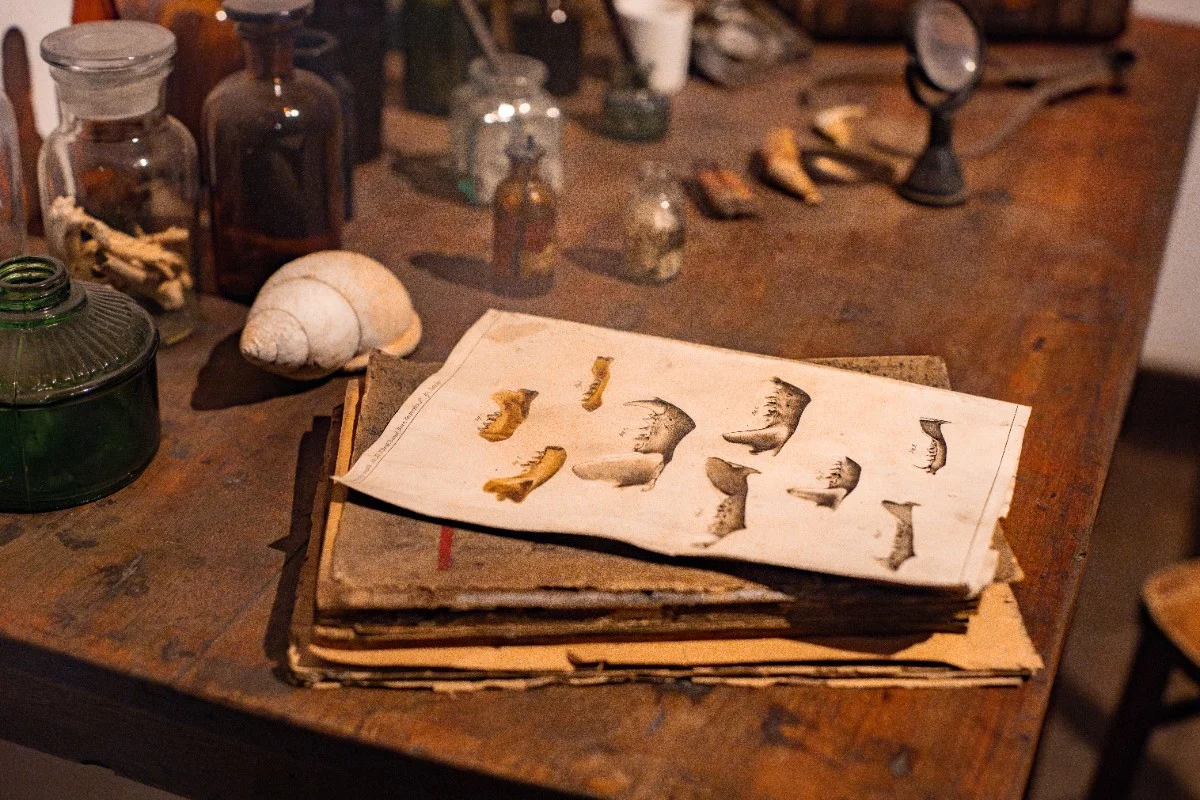 Réplicas e originais de fósseis, objetos pessoais e exemplares encontrados por Lund e doados pela Rainha da Dinamarca Réplicas e originais de fósseis, objetos pessoais e exemplares encontrados por Lund e doados pela Rainha da Dinamarca