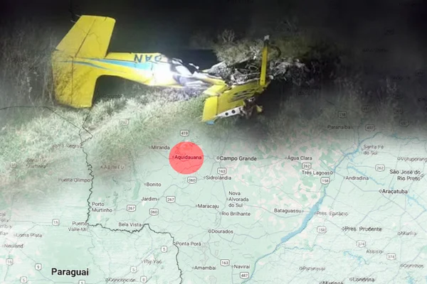 acidente aéreo que causou a morte de quatro pessoas na terça-feira (23/9), em Aquidauana, no Pantanal sul-matrogrossense, não foi causado por porcos na pista nem pelas condições meteorológicas do momento.