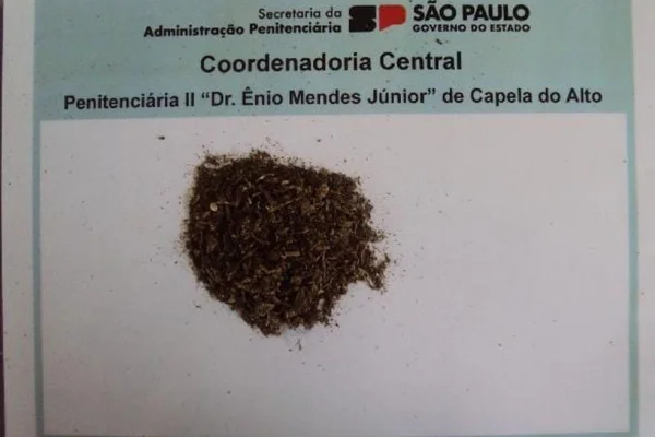 Imagem colorida mostra maconha apreendida com mulher que tentou visitar homem em presídio - Metrópoles