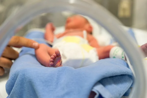 Câmara analisa ampliação de licença-maternidade em casos de internação