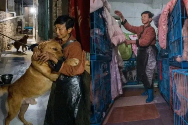 Idosa cuida de cachorros