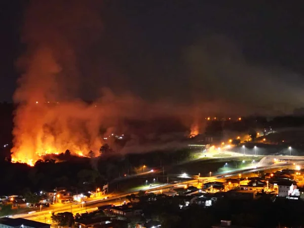 Imagem colorida de incêndio em mata - Metrópoles