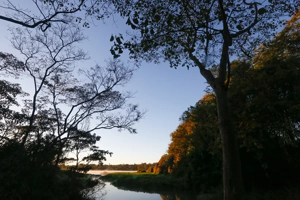 Polícia investiga a morte de jovem encontrado no Lago Paranoá