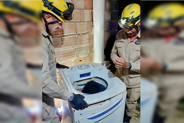 Menino preso em máquina de lavar