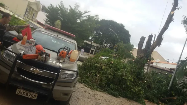 Homem usava motosserra para cortar árvores na 715 Sul ilegalmente