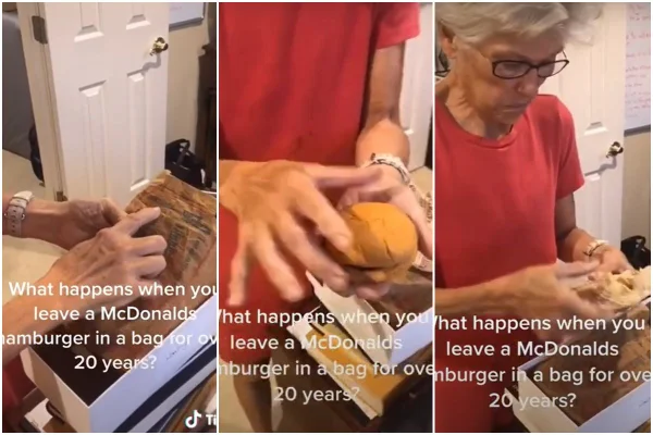 Hamburguer de 24 anos