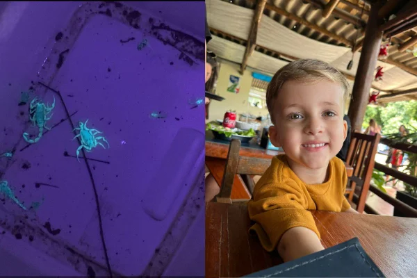 Bernardo de Lima Mendes, de 3 anos, morreu após levar uma picada de escorpião na quinta-feira (31/3), em Conchal, no interior paulista - Metrópoles