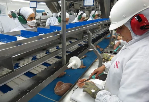 Japão suspende a importação de carnes dos 21 frigoríficos brasileiros