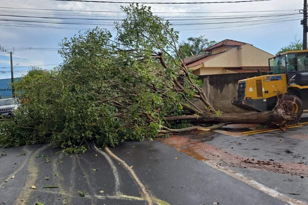 Cidades da Zona da Mata (MG) estão sob alerta de vendaval; veja lista