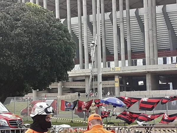 Abelhas atacam torcedores que saíam do Mané Garrincha