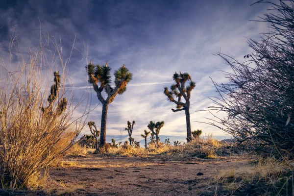 Imagem colorida de local deserto - Metrópoles
