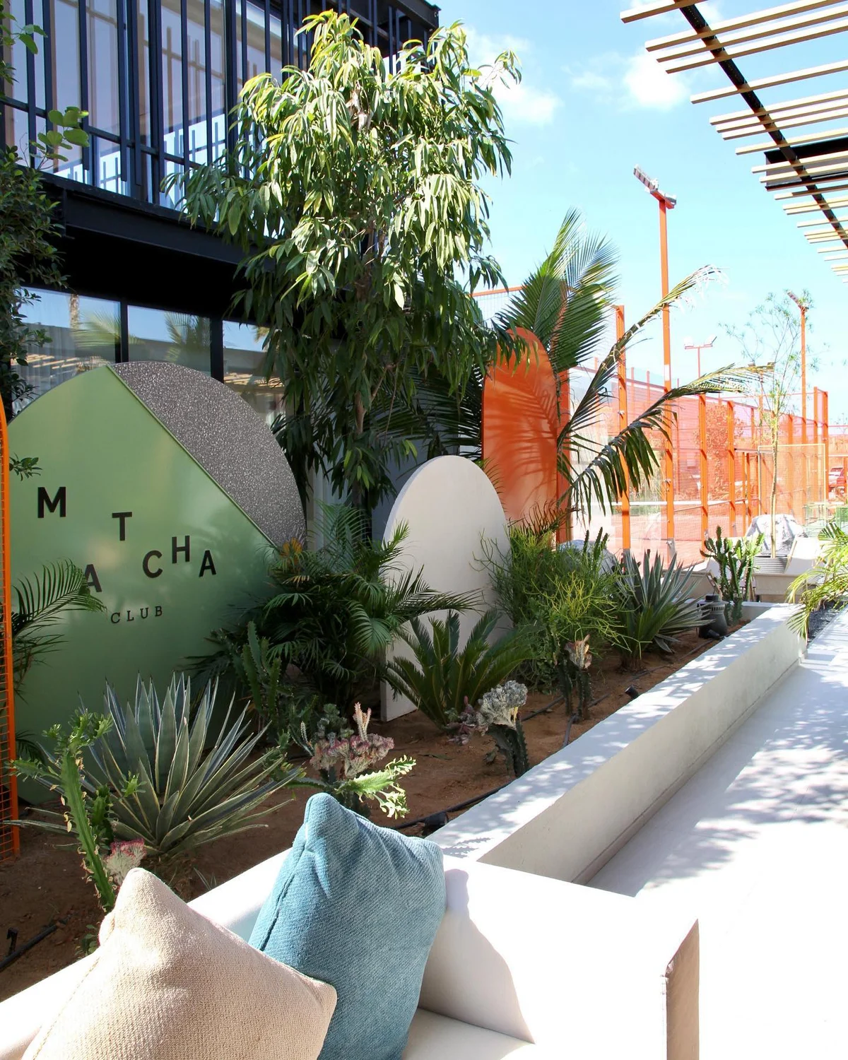 The Matcha Club The Matcha Club