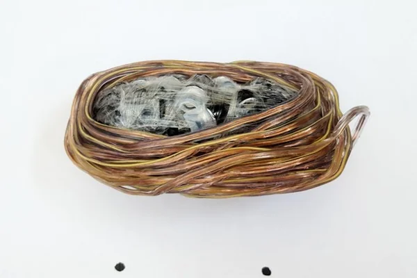 Mulher é detida com 9,6m de fio de cobre e fones de ouvido na vagina