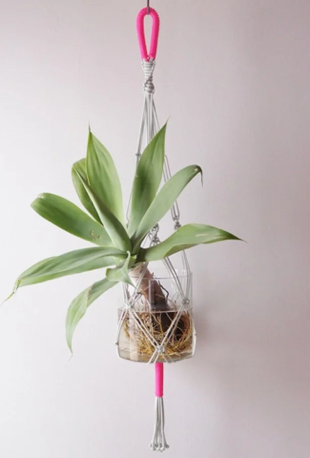 Outra forma de expor plantas em vasos com água Outra forma de expor plantas em vasos com água