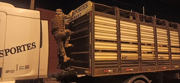 goias policial em carreta para resgatar gado