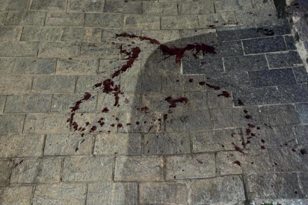 Sangue de cadela baleada por vizinho - Metrópoles