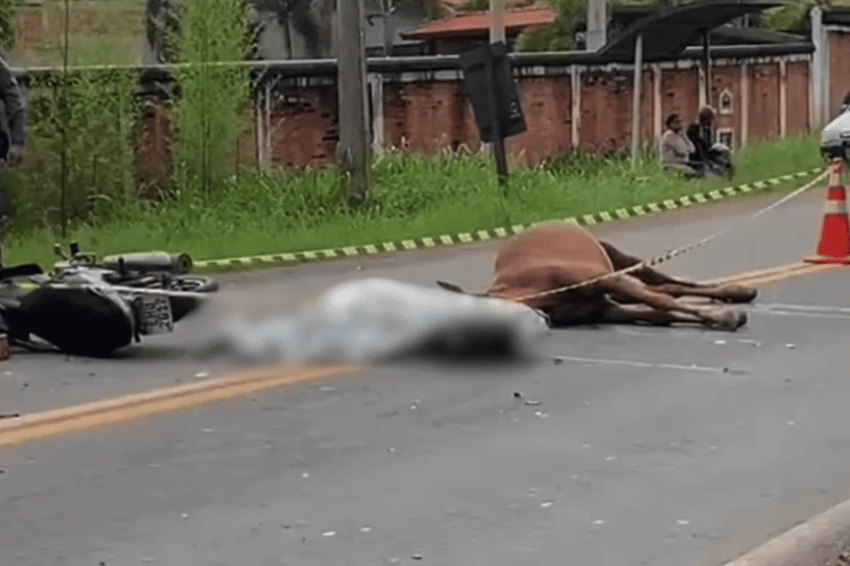 Mulher perde a vida asfixiada com capacete após bater moto contra cavalo