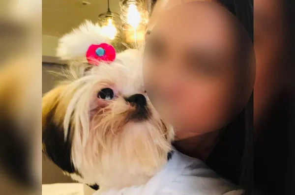 Imagem colorida de cachorro