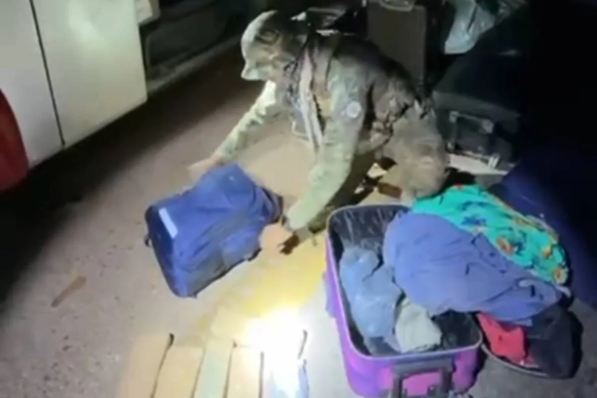 Passageiro de ônibus é preso com skunk, cocaína e maconha na mala
