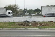 Imagem mostra local onde havia bananeira