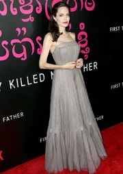 Angelina Jolie estaria pesando menos de 35 quilos, diz site - imagem 4