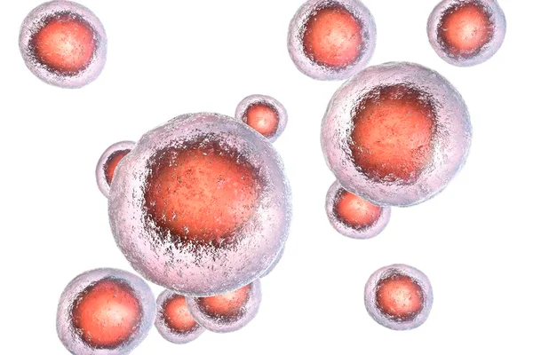 Brasileiros descobrem molécula que pode atenuar câncer pediátrico