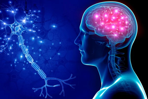 Ilustração colorida de atividade cerebral, com cores azul e rosa predominantes - Metrópoles.