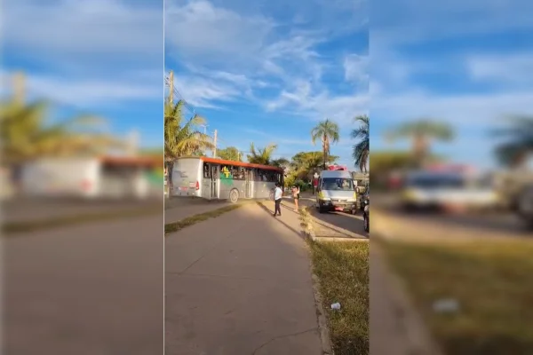 Imagem colorida de ônibus desgovernado derrubando árvores