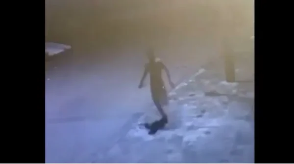 goias preso jovem que matou colega a facadas durante festa