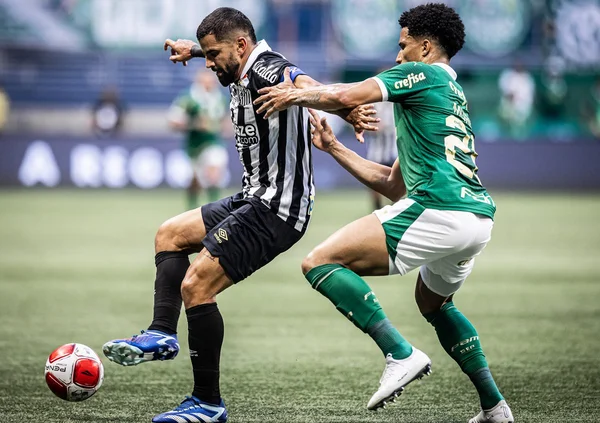 Após 9 anos, Palmeiras e Santos se reencontram na final do Paulistão