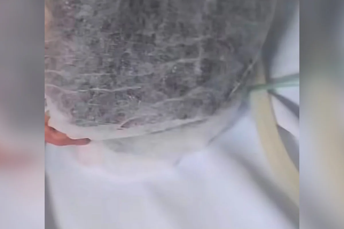 O homem foi internado no Hospital Regional do Paranoá O homem foi internado no Hospital Regional do Paranoá