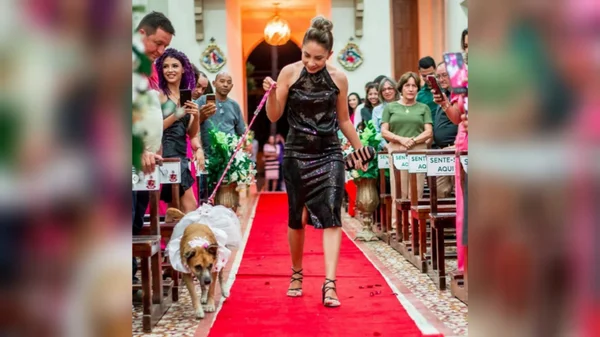 cachorro entrando na igreja