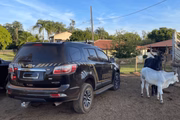 Carro da PF durante operação contra fraudes fundiárias no Pará