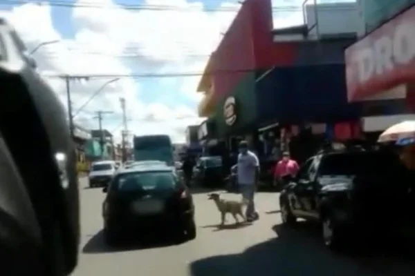 Vídeo: passageiro de carro abandona cachorro em Manaus