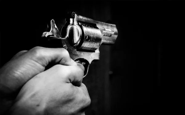 tiros arma irmãos