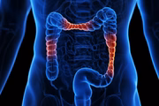 O cólon faz parte do intestino