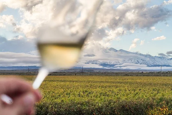 Casa de Brasília promove jantar inspirado na culinária da Patagônia