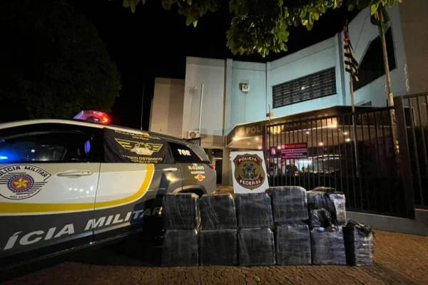 Imagem colorida mostra carga de cocaína apreendida pela polícia com casal em caminhão - Metrópoles