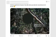 Redes sociais viram palco de xenofobia antes de Brasil x Japão na Copa - imagem 5