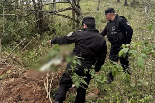 Idosa de São Miguel do Oeste é encontrada morta em mata na Argentina