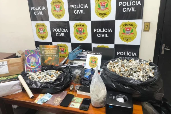 Imagem colorida mostra apreensão de cogumelos mágicos no litoral de SP. Metrópoles