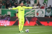 Weverton do Palmeiras Weverton do Palmeiras