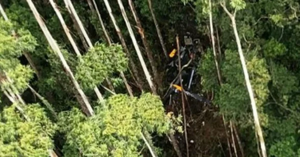Imagem aérea dos destroços de helicóptero que caiu na região de mata em Paraibuna - Metrópoles