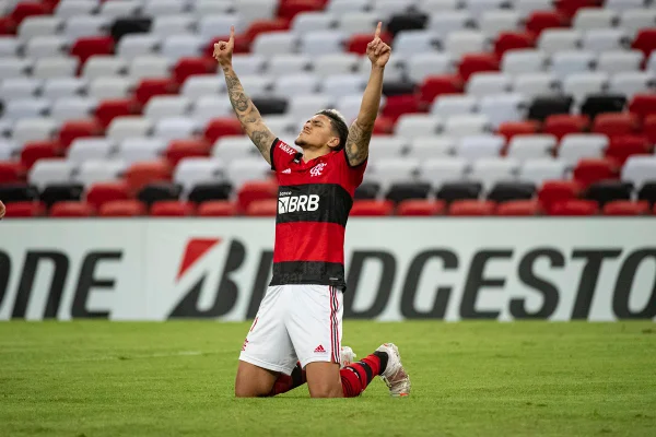 Pedro Flamengo