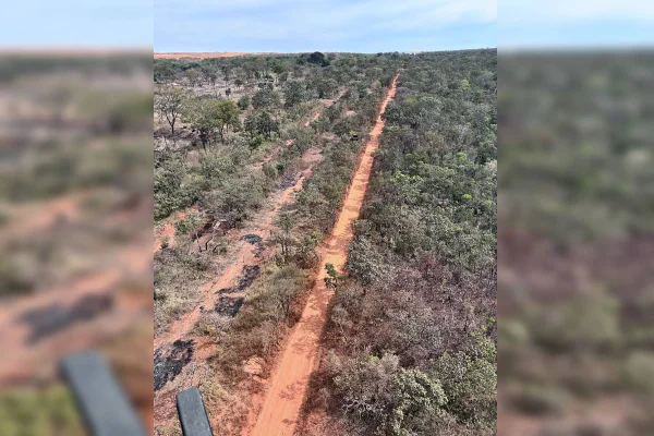 Árvores derrubadas e barracos erguidos: invasão ameaça área da Flona - destaque galeria