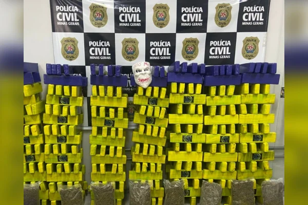 350 barras de maconha foram apreendidas